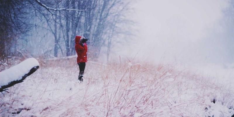 成都制造业技术工人招聘与技能提升全攻略：如何通过成都人才网高效求职与成长