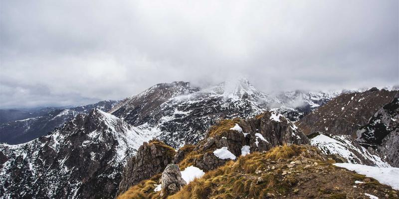 成都招聘新风向：数字营销能力已成市场营销与品牌策划岗位的“硬通货”