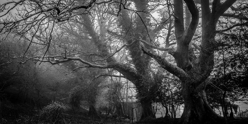 成都新媒体运营招聘指南：揭秘雇主最看重的三大核心能力与求职策略