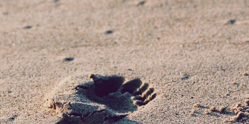 成都新能源汽车招聘热浪来袭：从整车到三电，这些高薪风口岗位正被疯抢！