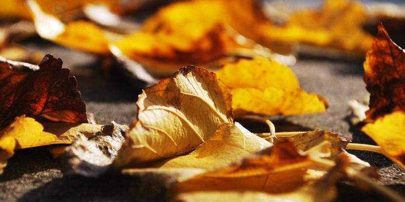 成都消费电子与智能硬件招聘全景：从研发到供应链，头部企业究竟在寻找怎样的人才？