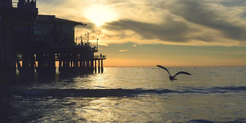 成都游戏行业招聘热潮：从独立工作室到3A大厂，程序、美术、策划岗位需求与薪资全解析